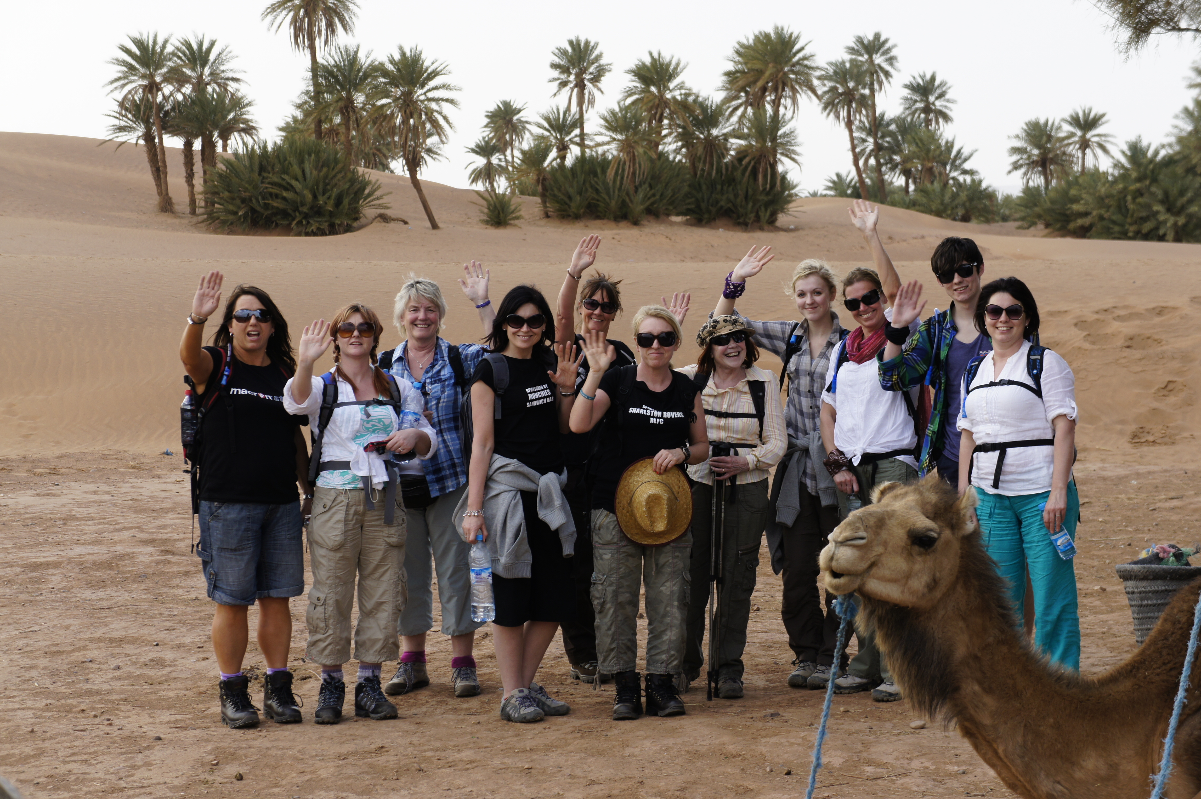 A group of people waving with a camel in the Sahara Desert
