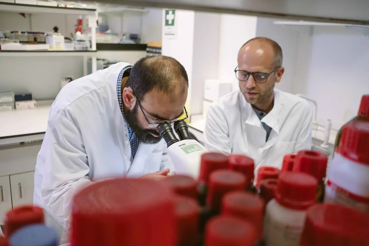 Fight for Sight | Funding research breakthroughs and social change to ...