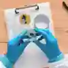 Gloved hands carefully holding a petri dish