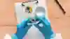 Gloved hands carefully holding a petri dish