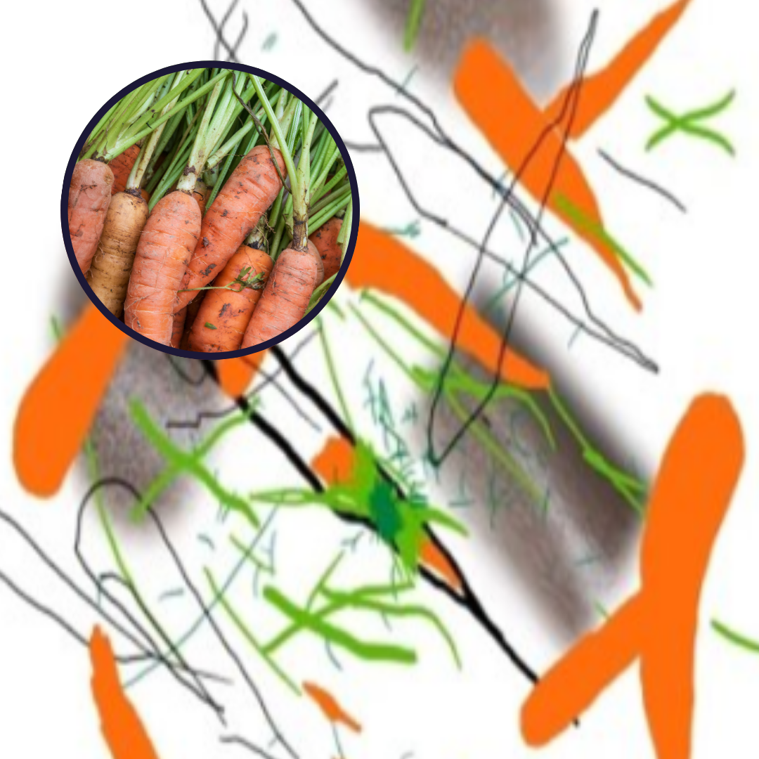 CVI Cerebral Visual Impairment - an image of how people with Apperceptive agnosia can see carrots as abstract shapes - Fight for Sight