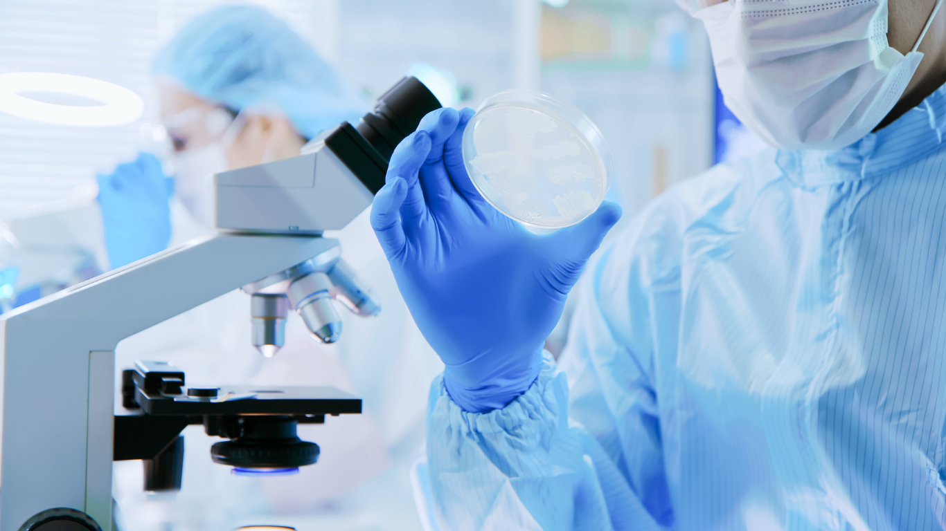 Researchers working in the lab.