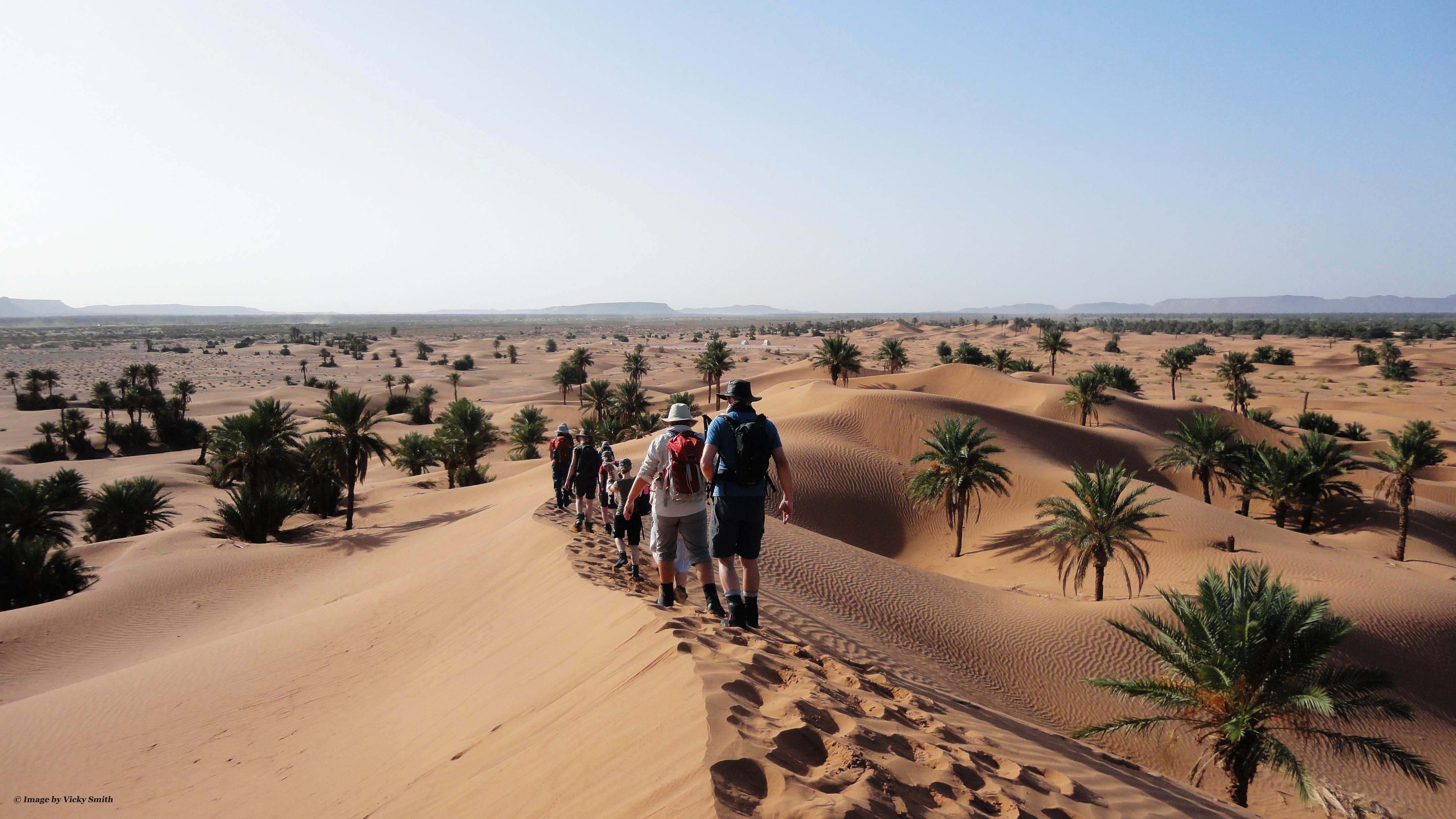 A group of people walking through the Sahara Desert