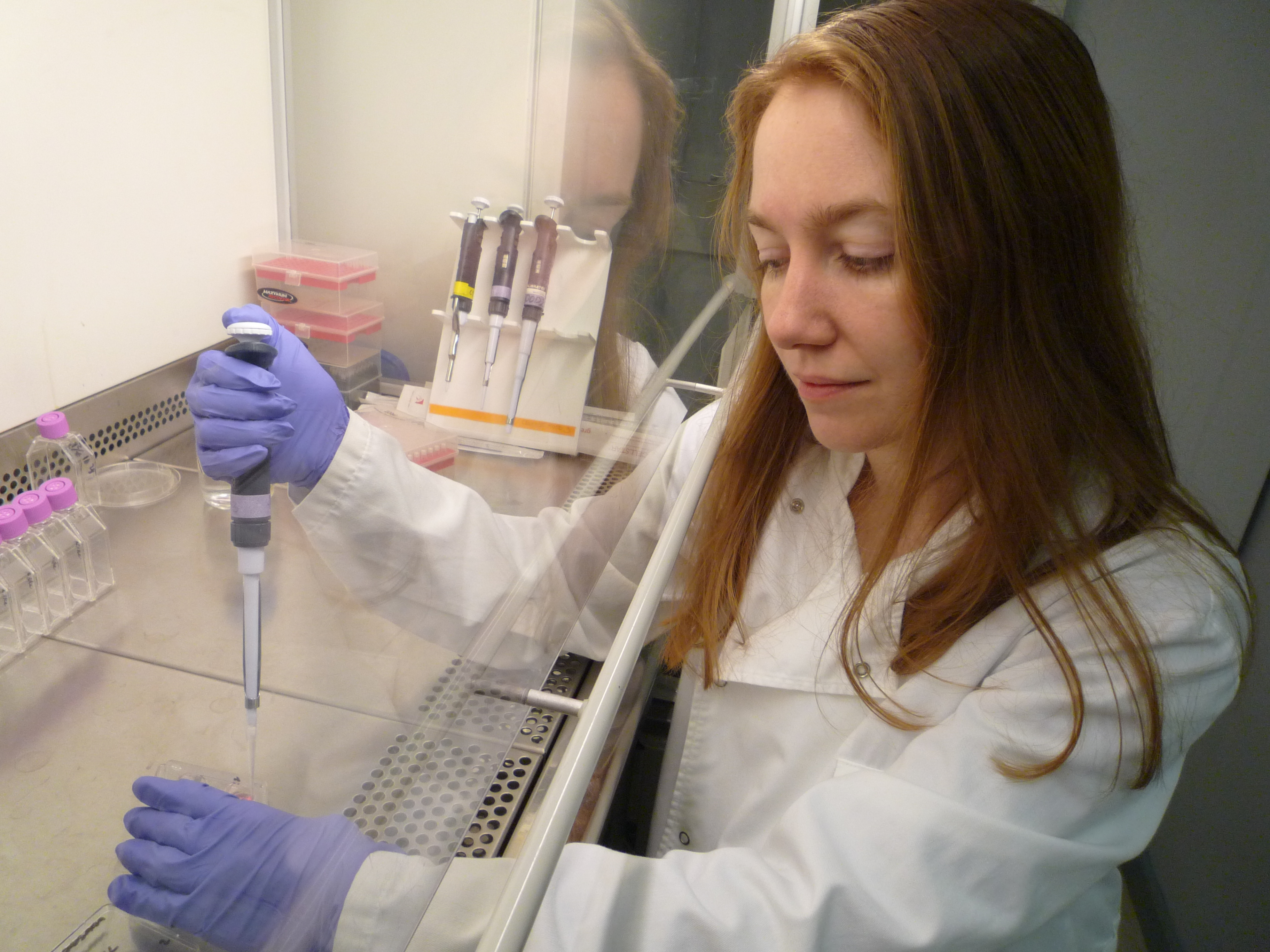 Close up of a researcher working in a lab